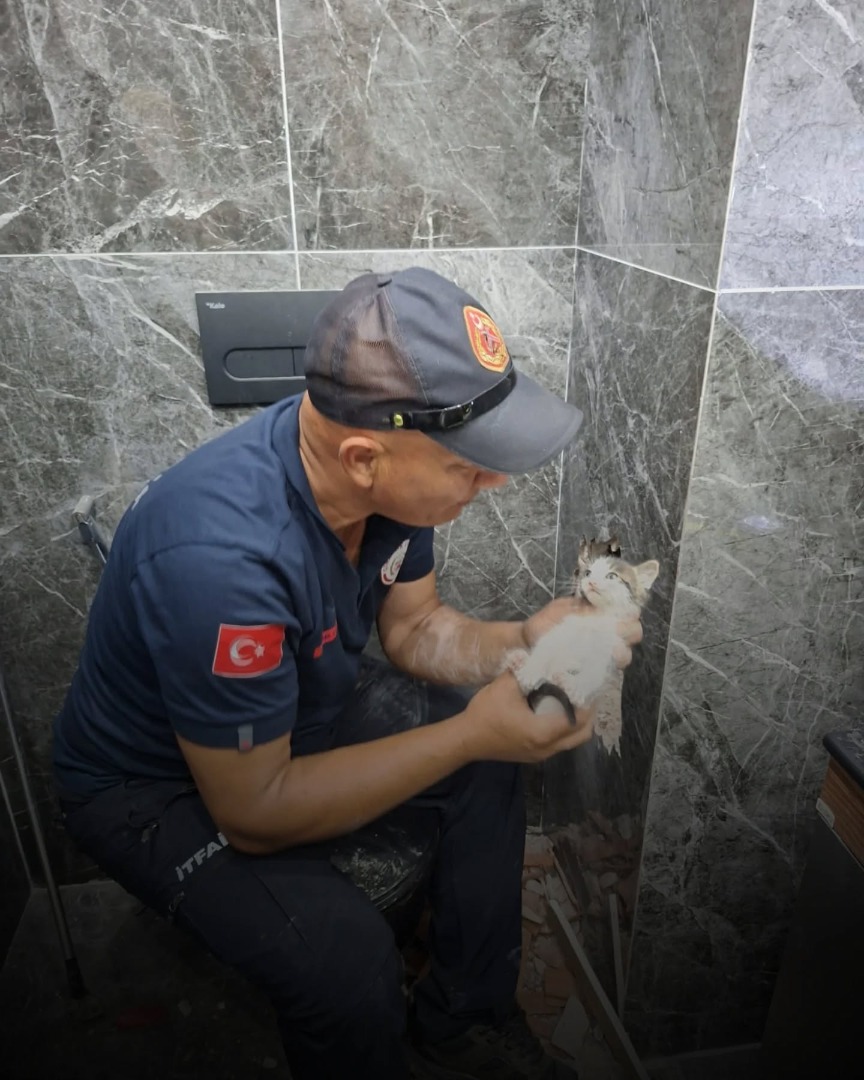 ÇINARCIK'TA DUVAR ARASINA SIKIŞAN YAVRU KEDİ KURTARILDI 